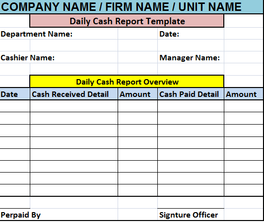 Daily Activity Report Template Excel from www.excelwordtemplate.com