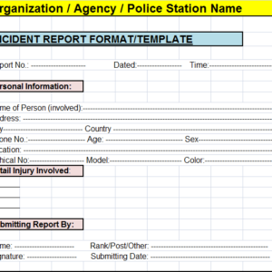 Customer Service Report Template Excel