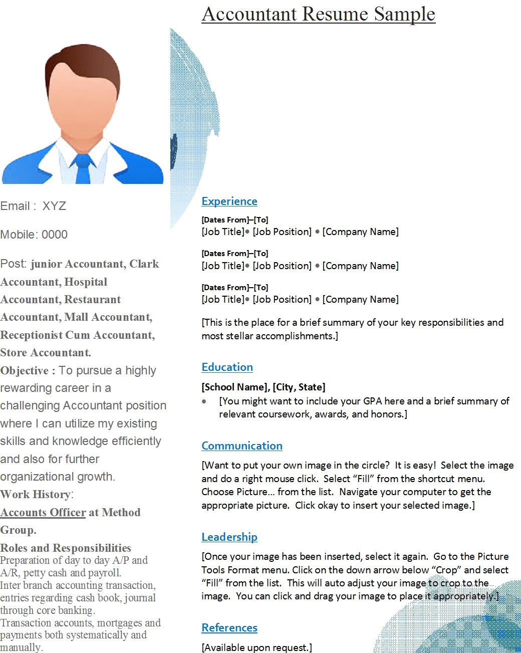 Senior Accountant Resume Template