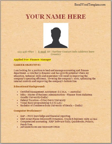Finance Manager Resume Template - Excel Word Templates