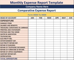 expense reports expense reports