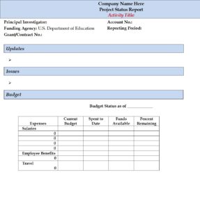 Free Project Objective Report Template