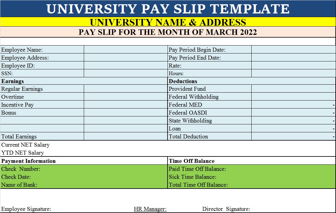 Educational Institute Pay Slip Template