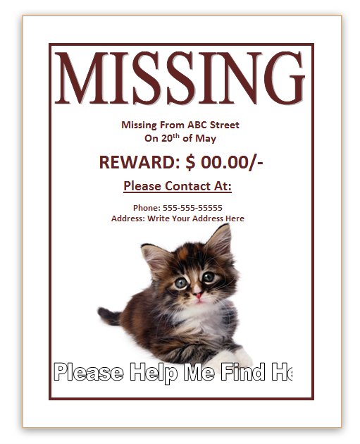 Missing Cat Poster Template