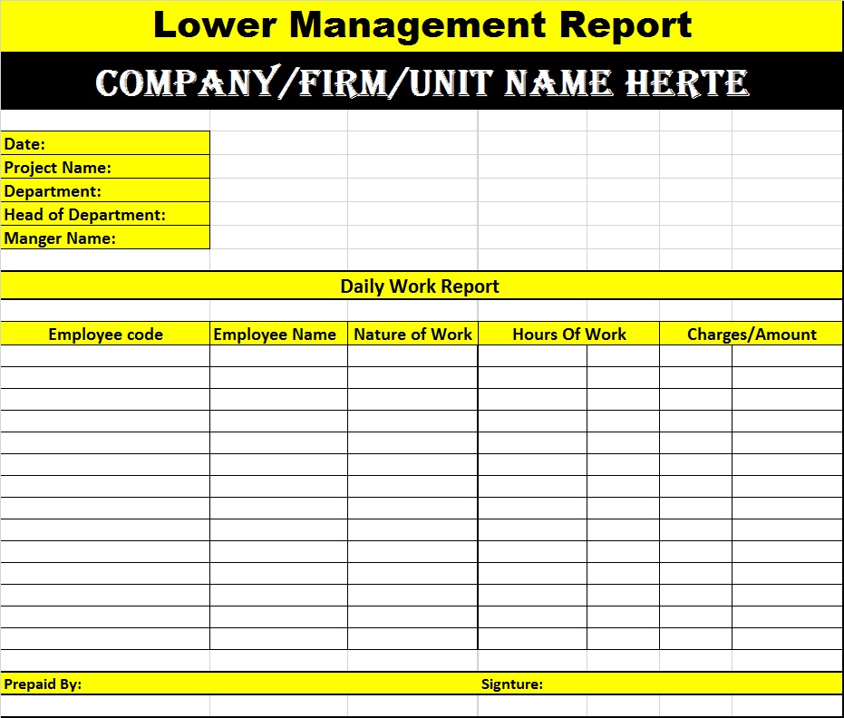 Lower Level Management Reports